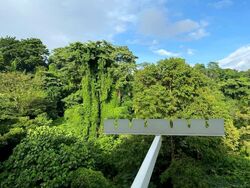 Blk 43 Telok Blangah Rise (Bukit Merah), HDB 3 Rooms #548045601